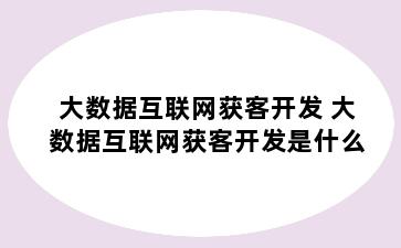 大数据互联网获客开发 大数据互联网获客开发是什么